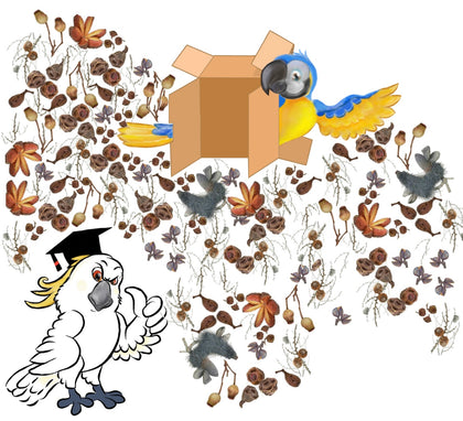 Our Foraging/Toy Range