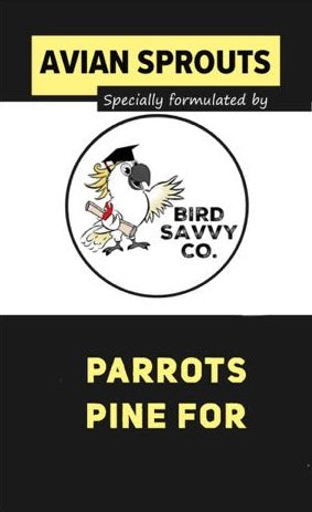 Parrots Pine For