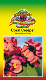 Coral Creeper