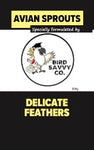 Delicate Feathers