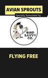 Flying Free