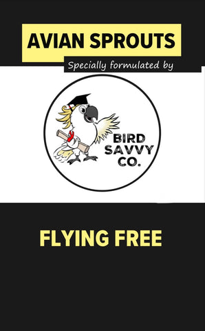 Flying Free