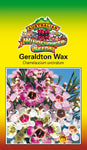 Geraldton Wax