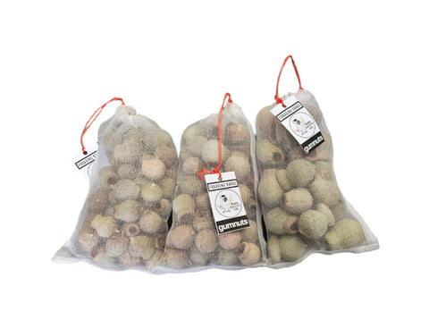 Gumnuts