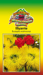 lllyarrie