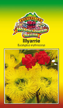 lllyarrie