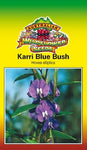 Karri Blue Bush