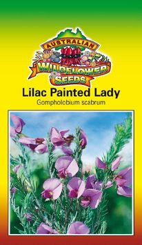 Lilac Painted Lady