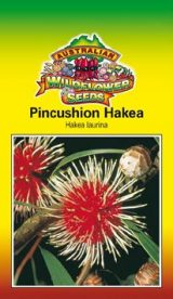 Pin-Cushion Hakea - Not permitted in South Australia
