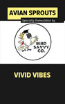 Vivid Vibes