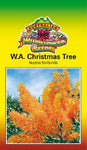 WA Christmas Tree