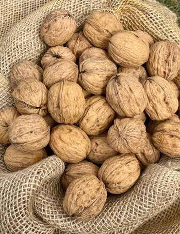 Walnuts In Shells