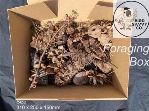 Foraging Boxes
