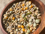 Parrots Pine For