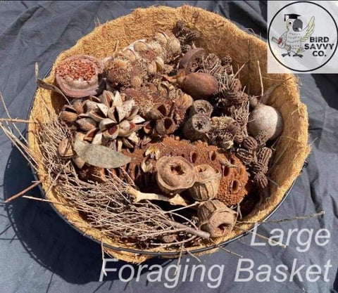 Foraging Baskets - Large